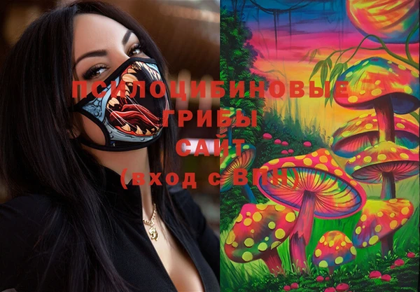 спайс Алексеевка