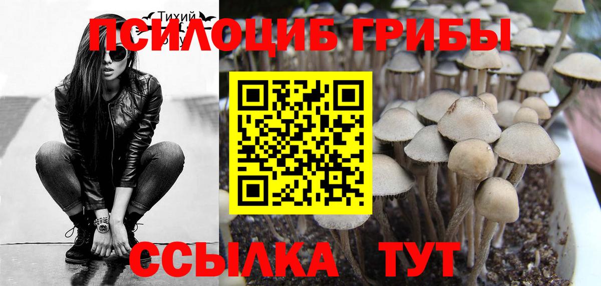 Нижнеудинск  Галлюциногенные грибы MAGIC MUSHROOMS  продажа наркотиков  Вход с VPN 