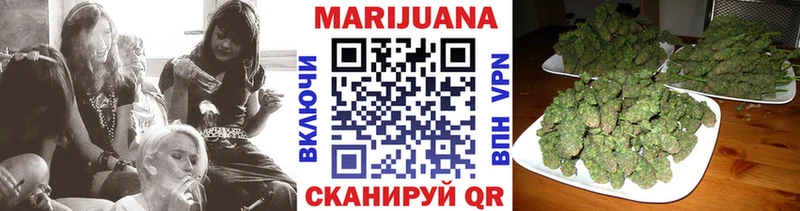 Шишки марихуана марихуана  Нижнеудинск 